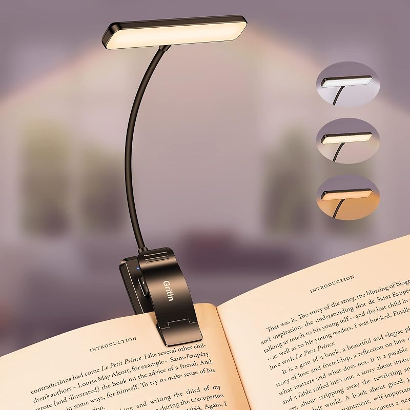 Gritin 19 LED Luce per Lettura Libri a Letto, Ricaricabile con Clip | 3 Temperature di Colore p
